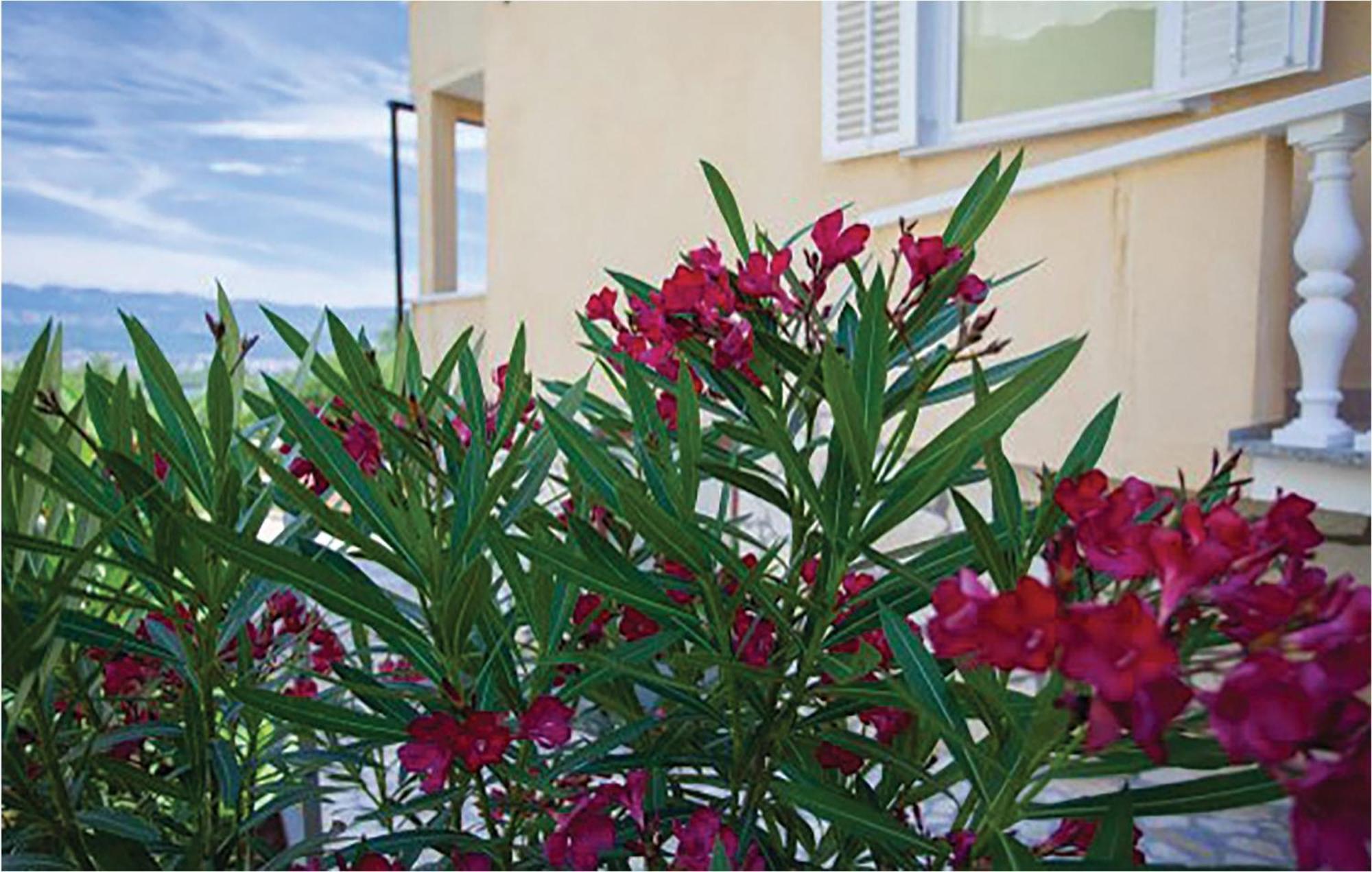 1 Bedroom Beautiful Apartment In Malinska Buitenkant foto